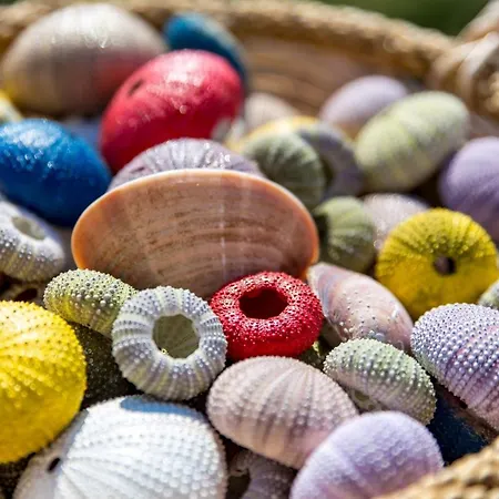 Dvorine Appartement *