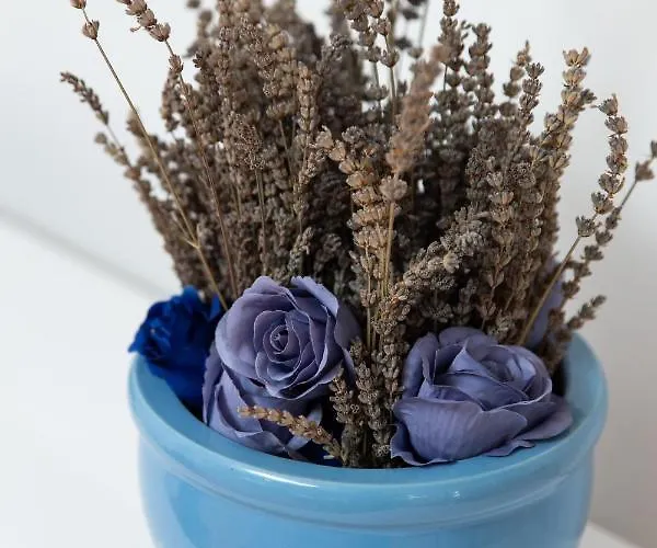 Dvorine Apartmán Tisno